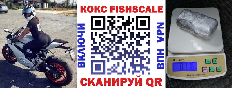 Купить закладки  Снежинск  Cocaine Fish Scale 